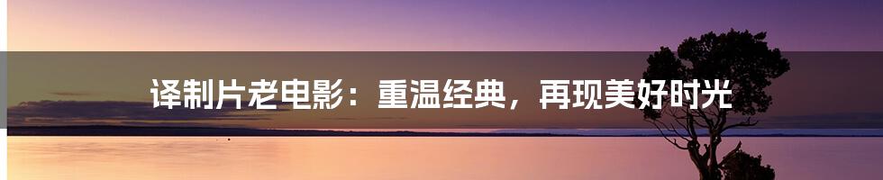 译制片老电影：重温经典，再现美好时光