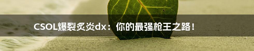 CSOL爆裂炙炎dx：你的最强枪王之路！