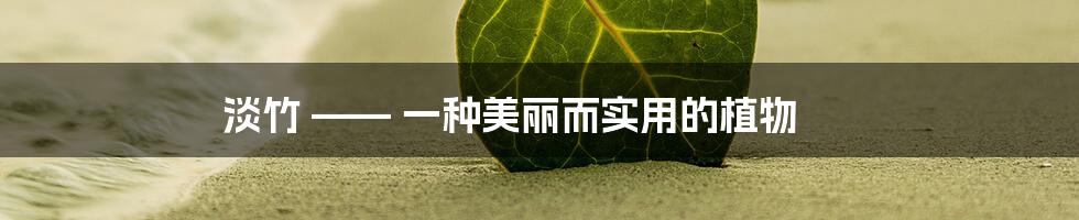 淡竹 —— 一种美丽而实用的植物