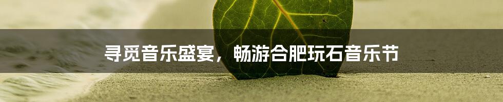 寻觅音乐盛宴，畅游合肥玩石音乐节