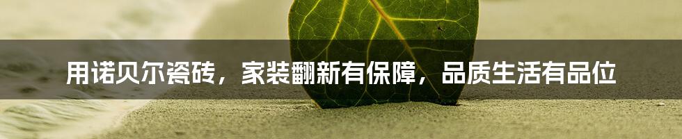 用诺贝尔瓷砖，家装翻新有保障，品质生活有品位