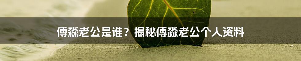 傅淼老公是谁？揭秘傅淼老公个人资料