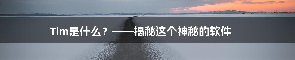 Tim是什么？——揭秘这个神秘的软件