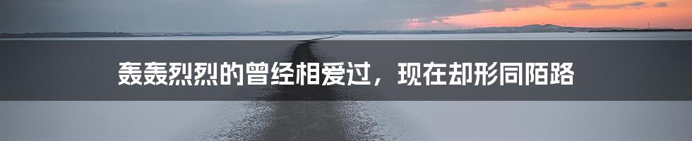 轰轰烈烈的曾经相爱过，现在却形同陌路