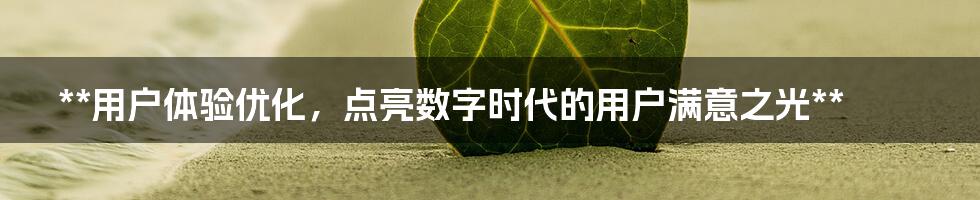 **用户体验优化，点亮数字时代的用户满意之光**