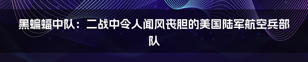 黑蝙蝠中队：二战中令人闻风丧胆的美国陆军航空兵部队