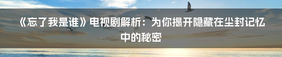 《忘了我是谁》电视剧解析：为你揭开隐藏在尘封记忆中的秘密