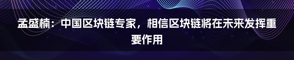 孟盛楠：中国区块链专家，相信区块链将在未来发挥重要作用