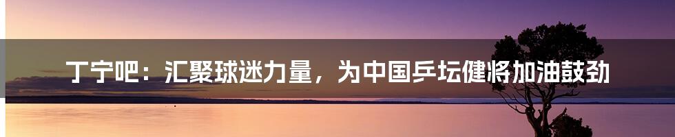 丁宁吧：汇聚球迷力量，为中国乒坛健将加油鼓劲