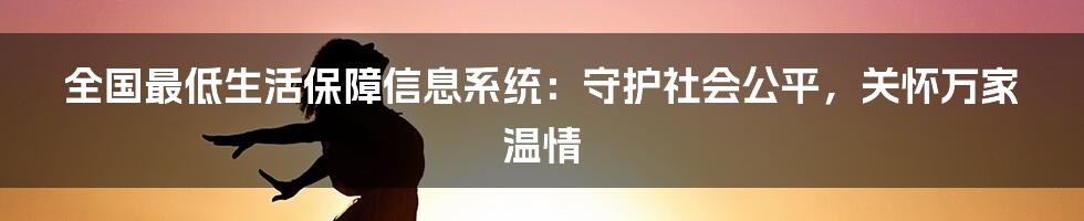 全国最低生活保障信息系统：守护社会公平，关怀万家温情