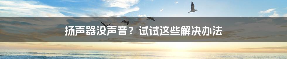 扬声器没声音？试试这些解决办法