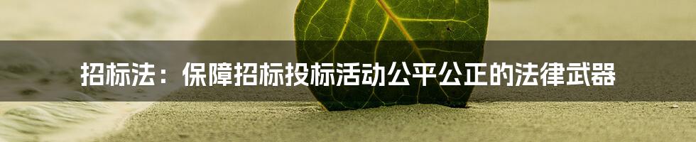 招标法：保障招标投标活动公平公正的法律武器