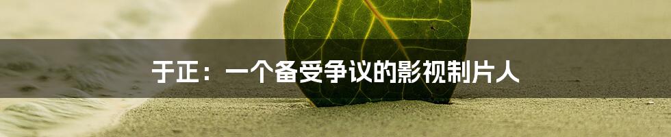 于正：一个备受争议的影视制片人