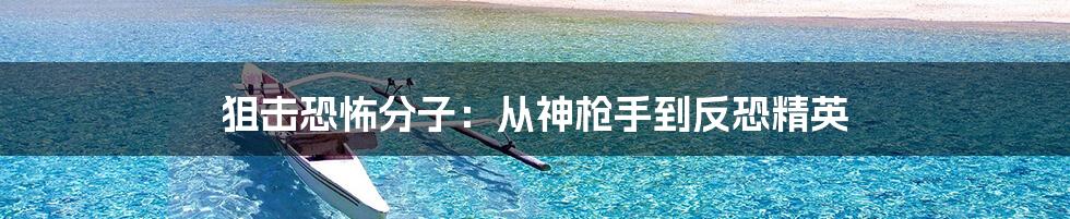 狙击恐怖分子：从神枪手到反恐精英