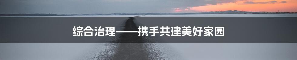 综合治理——携手共建美好家园