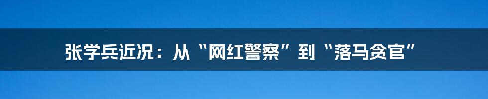 张学兵近况：从“网红警察”到“落马贪官”