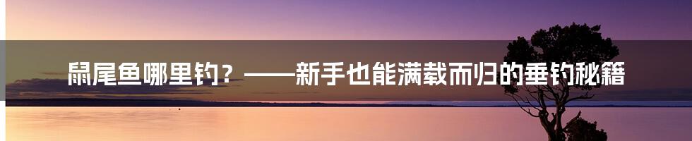 鼠尾鱼哪里钓？——新手也能满载而归的垂钓秘籍