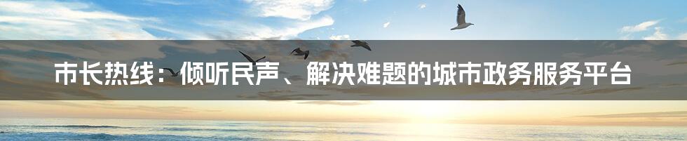 市长热线：倾听民声、解决难题的城市政务服务平台