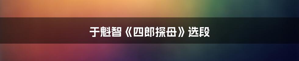 于魁智《四郎探母》选段