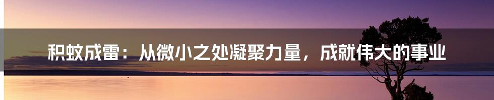 积蚊成雷：从微小之处凝聚力量，成就伟大的事业