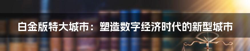 白金版特大城市：塑造数字经济时代的新型城市