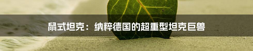 鼠式坦克：纳粹德国的超重型坦克巨兽