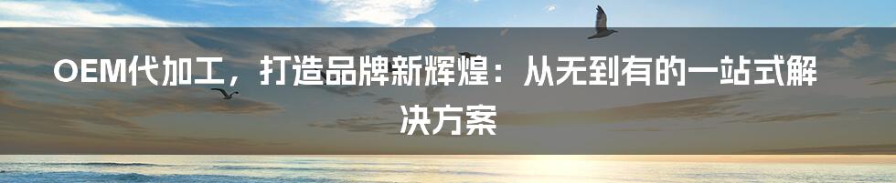 OEM代加工，打造品牌新辉煌：从无到有的一站式解决方案