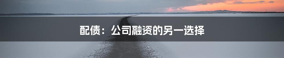 配债：公司融资的另一选择