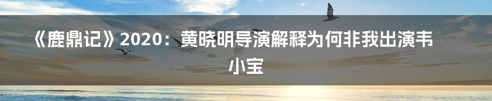 《鹿鼎记》2020：黄晓明导演解释为何非我出演韦小宝