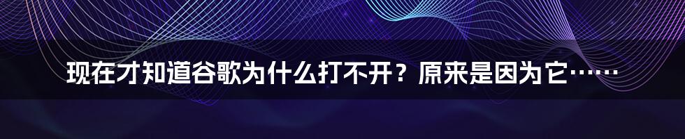 现在才知道谷歌为什么打不开？原来是因为它……