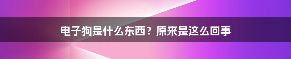 电子狗是什么东西？原来是这么回事