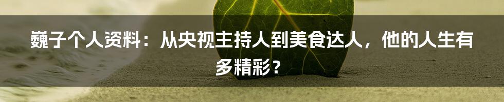 巍子个人资料：从央视主持人到美食达人，他的人生有多精彩？