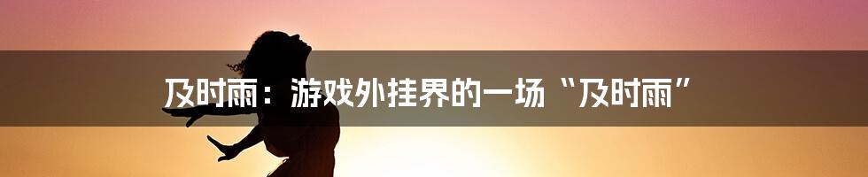 及时雨：游戏外挂界的一场“及时雨”