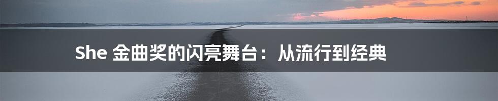 She 金曲奖的闪亮舞台：从流行到经典