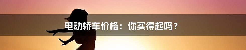 电动轿车价格：你买得起吗？