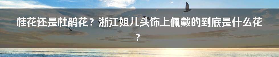 桂花还是杜鹃花？浙江姐儿头饰上佩戴的到底是什么花？