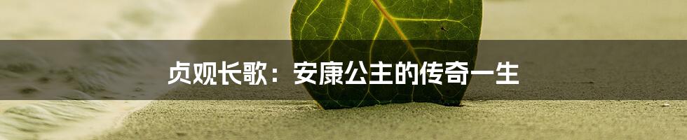 贞观长歌：安康公主的传奇一生