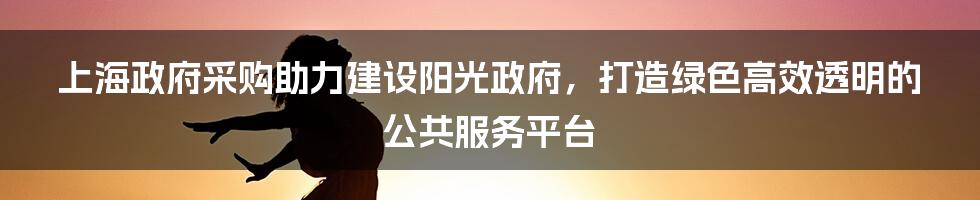 上海政府采购助力建设阳光政府，打造绿色高效透明的公共服务平台