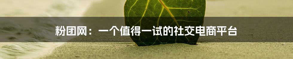 粉团网：一个值得一试的社交电商平台