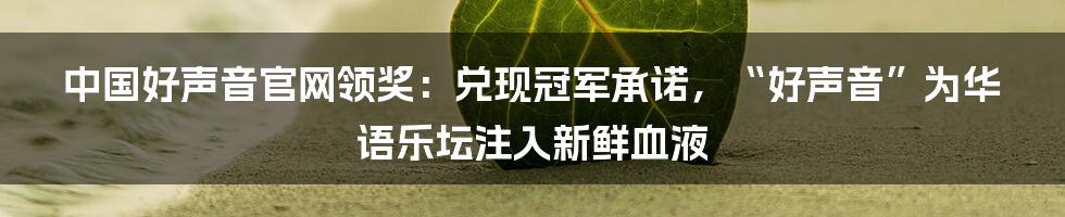 中国好声音官网领奖：兑现冠军承诺，“好声音”为华语乐坛注入新鲜血液