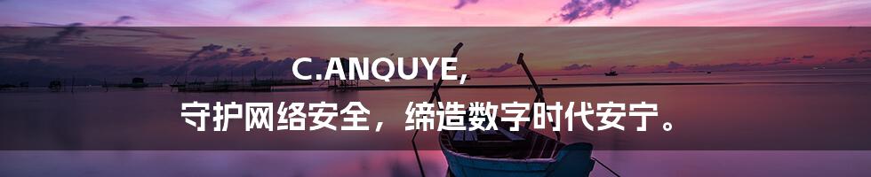 C.ANQUYE, 守护网络安全，缔造数字时代安宁。