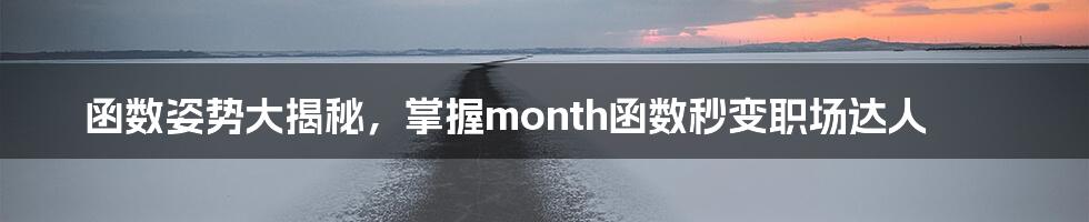 函数姿势大揭秘，掌握month函数秒变职场达人