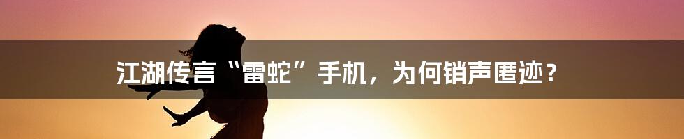 江湖传言“雷蛇”手机，为何销声匿迹？