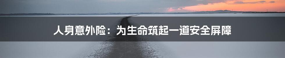 人身意外险：为生命筑起一道安全屏障