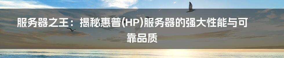 服务器之王：揭秘惠普(HP)服务器的强大性能与可靠品质