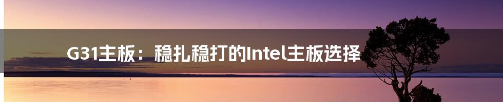 G31主板：稳扎稳打的Intel主板选择