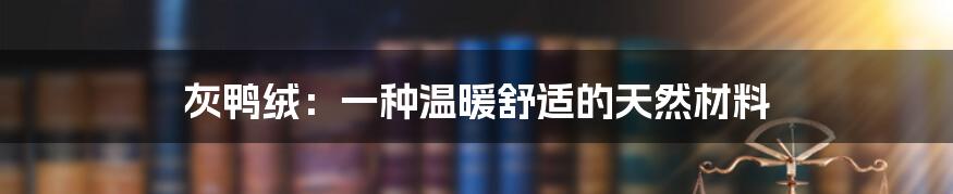 灰鸭绒：一种温暖舒适的天然材料