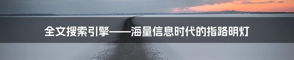 全文搜索引擎——海量信息时代的指路明灯