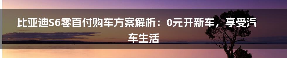 比亚迪S6零首付购车方案解析：0元开新车，享受汽车生活