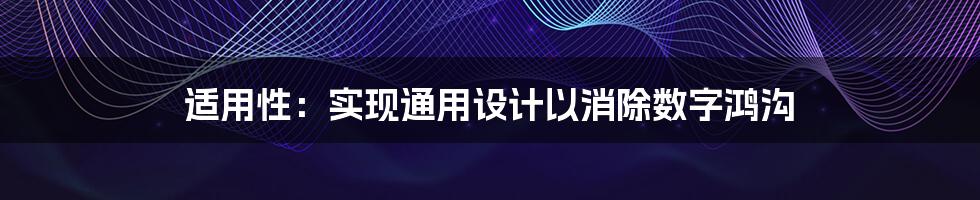 适用性：实现通用设计以消除数字鸿沟